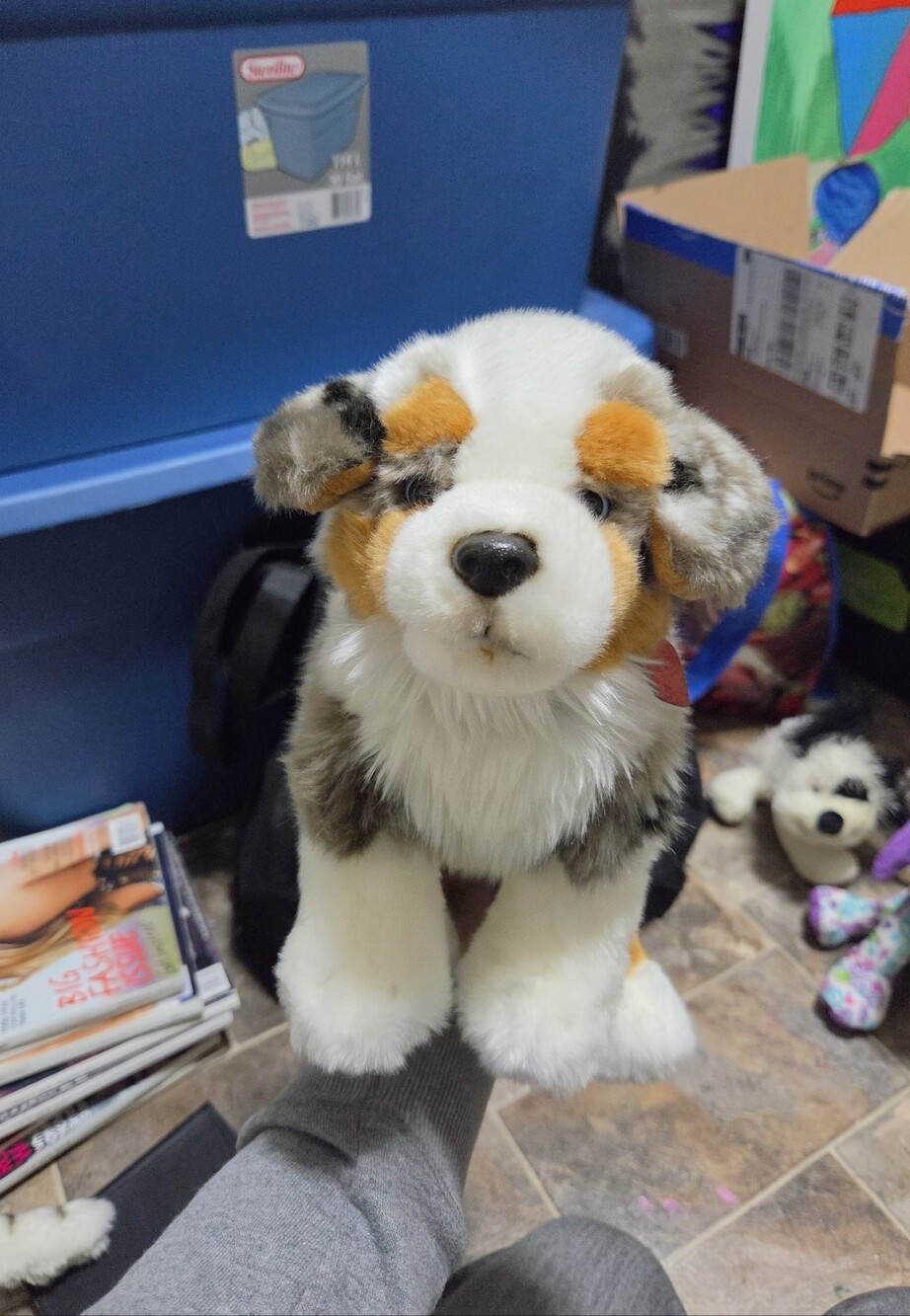 Australian Shepard Plush Toy Webkinz Signature Knock-Off
